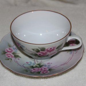 VTG DIADEM BAREUTHER WALDSASSEN BAVARIA GERMANY 154 CUP & SAUCER PINK ROSES